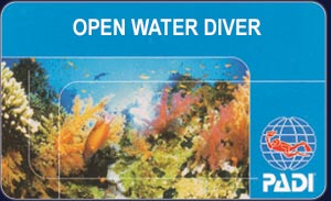 PADI Tauchkurs - Open Water Diver