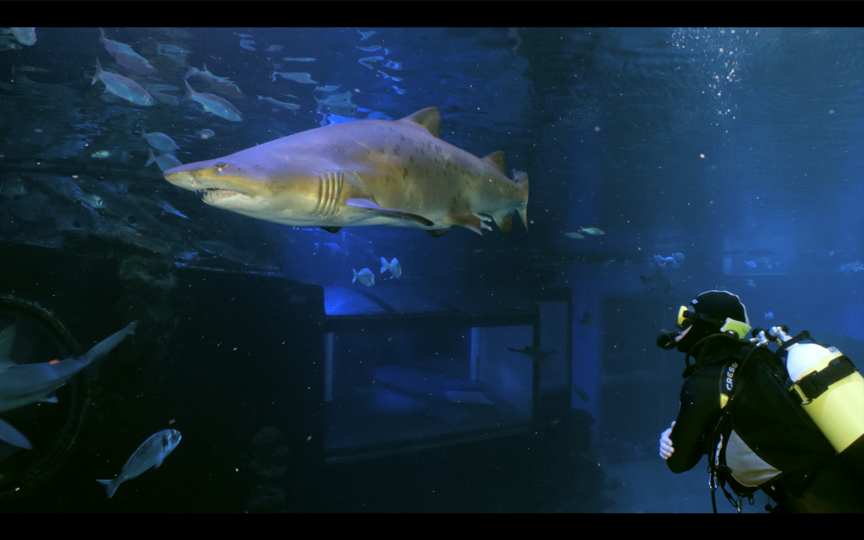 Unterwasser 4