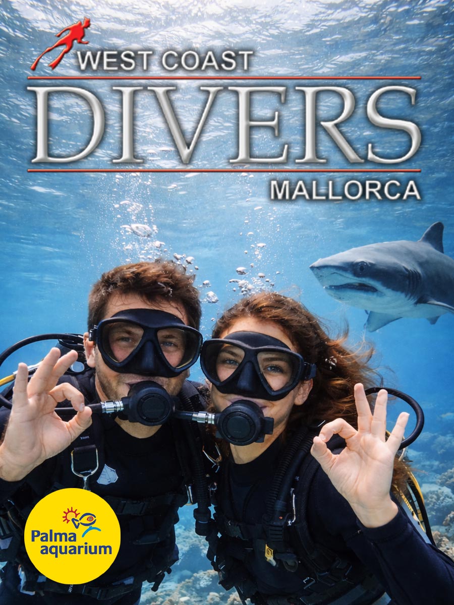 Palma Aquarium Haitauchen